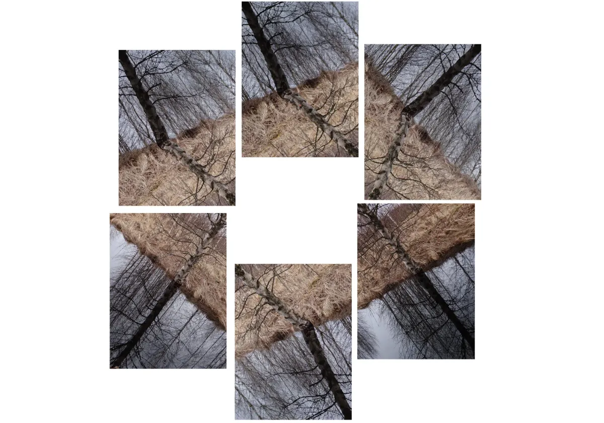 1, frame 4