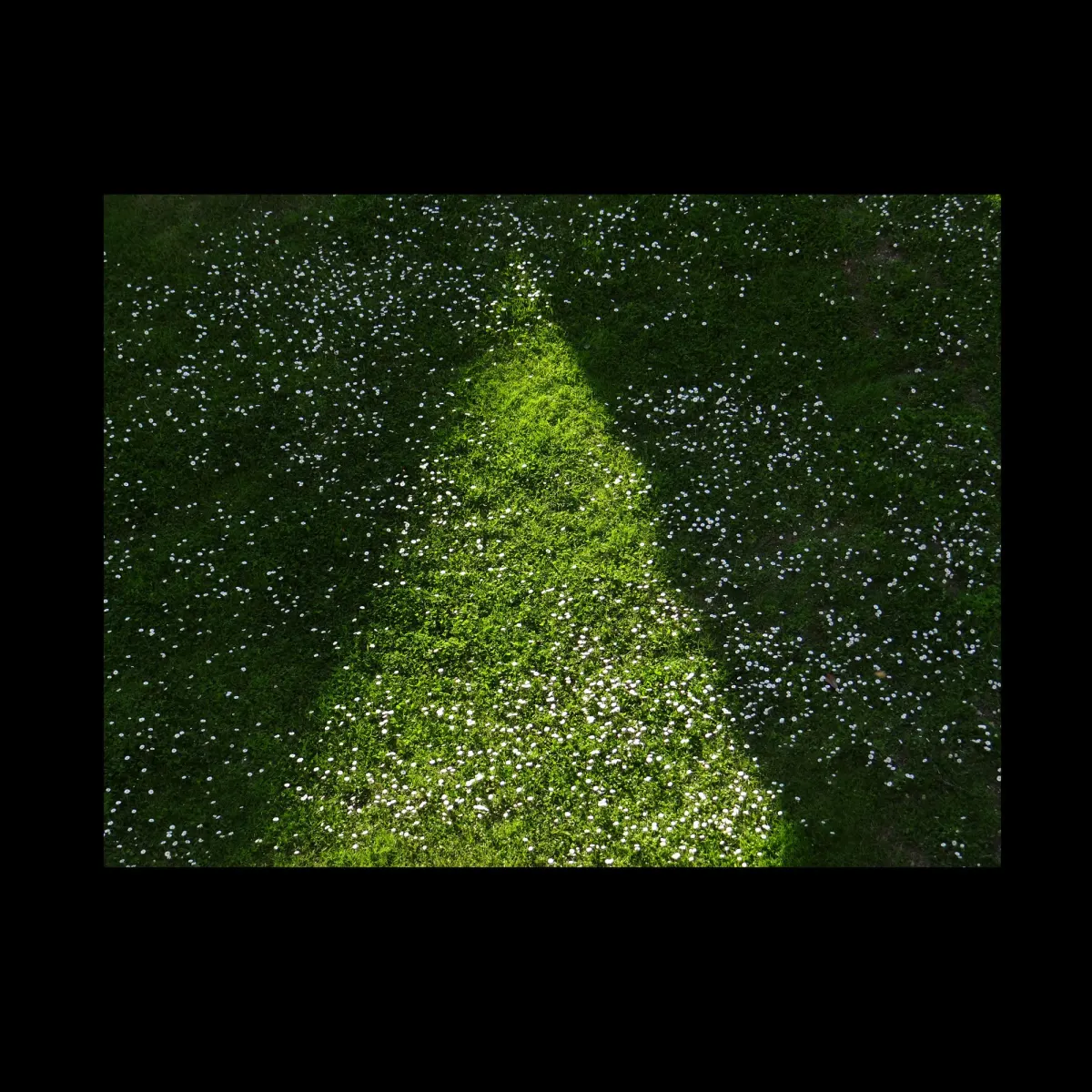 1, frame 11