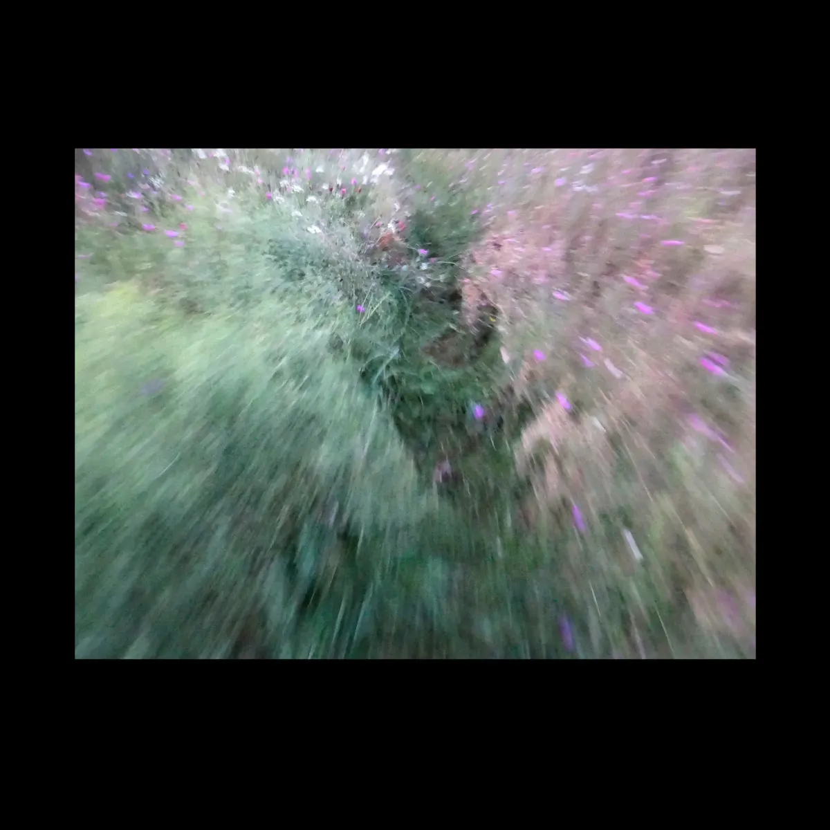 1, frame 13