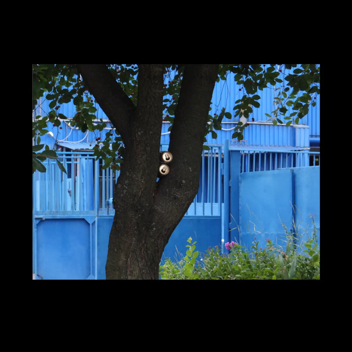 1, frame 14