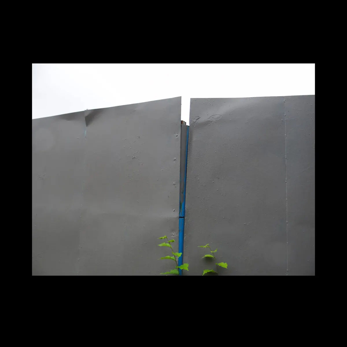 1, frame 15