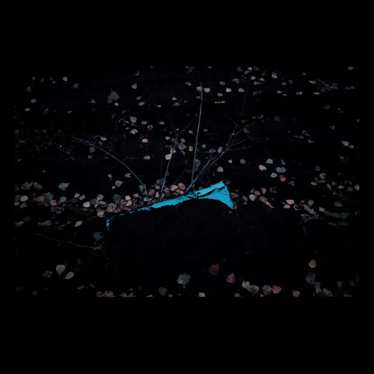 1, frame 16