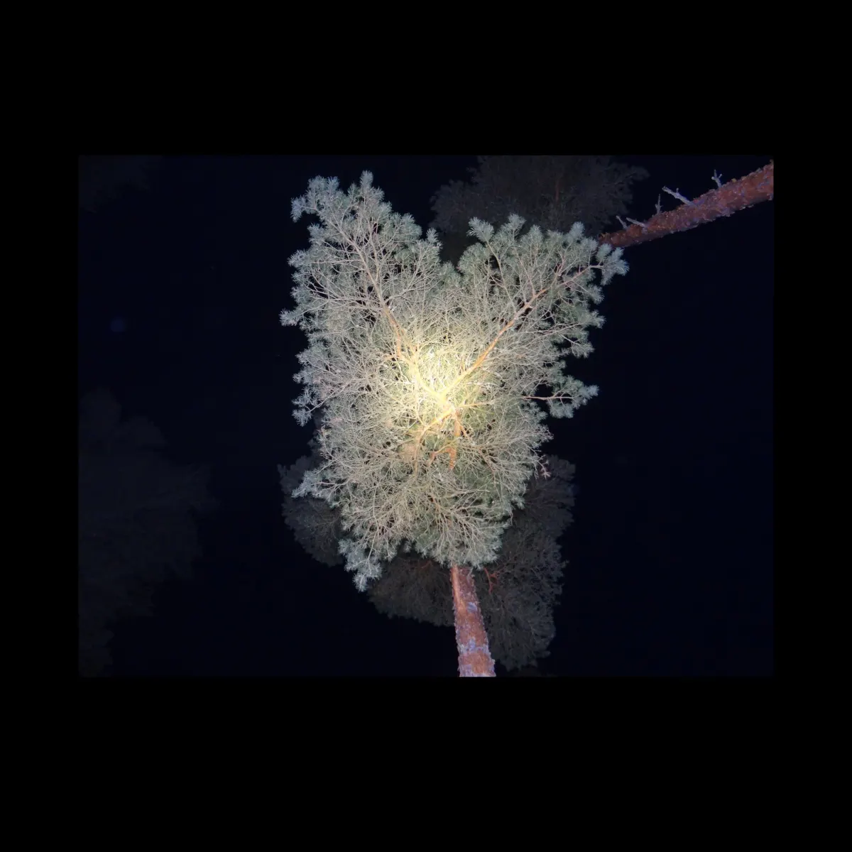 1, frame 17