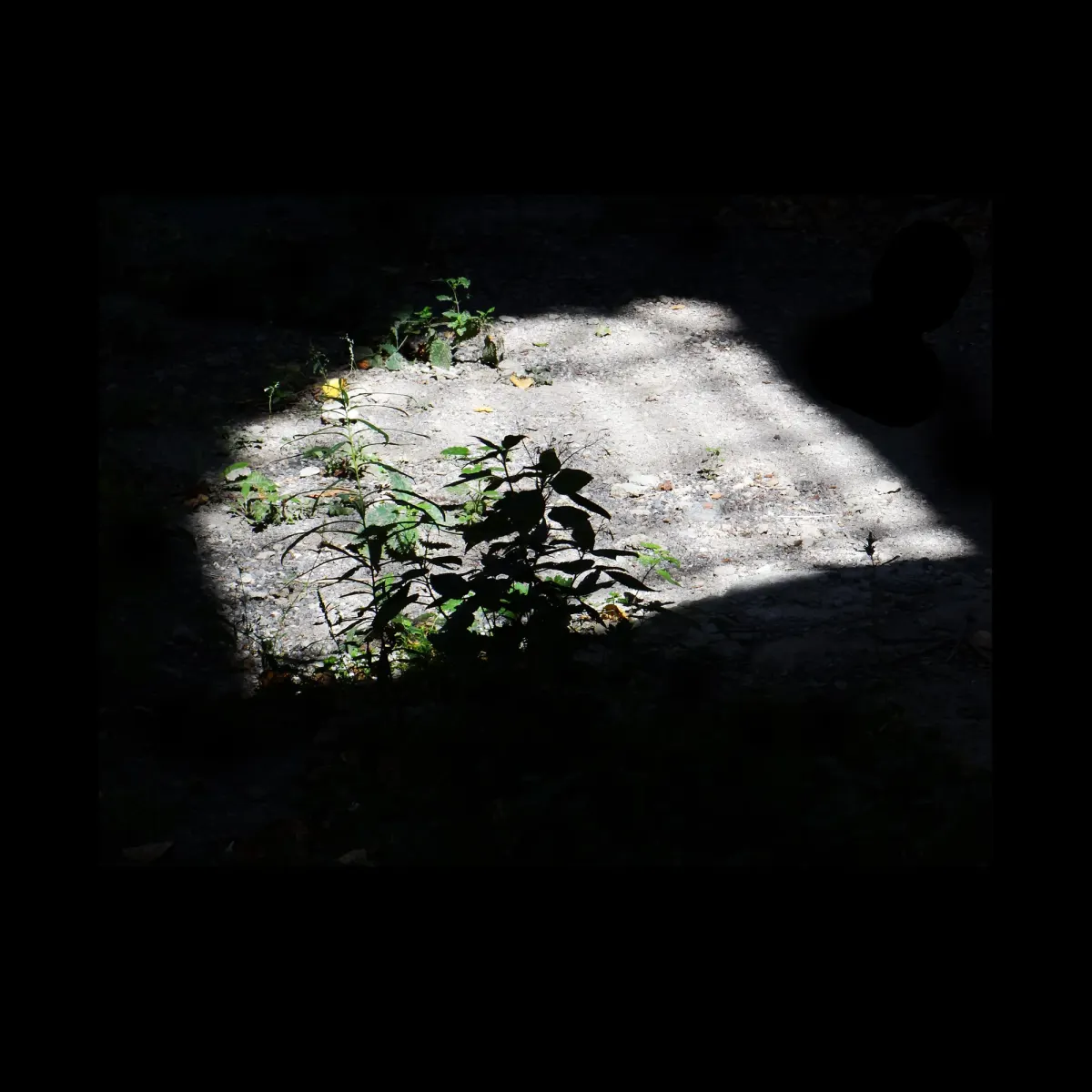 1, frame 18