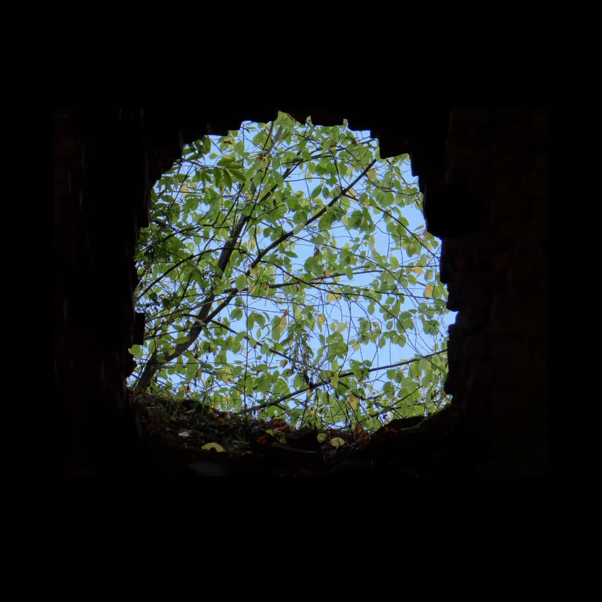 1, frame 19
