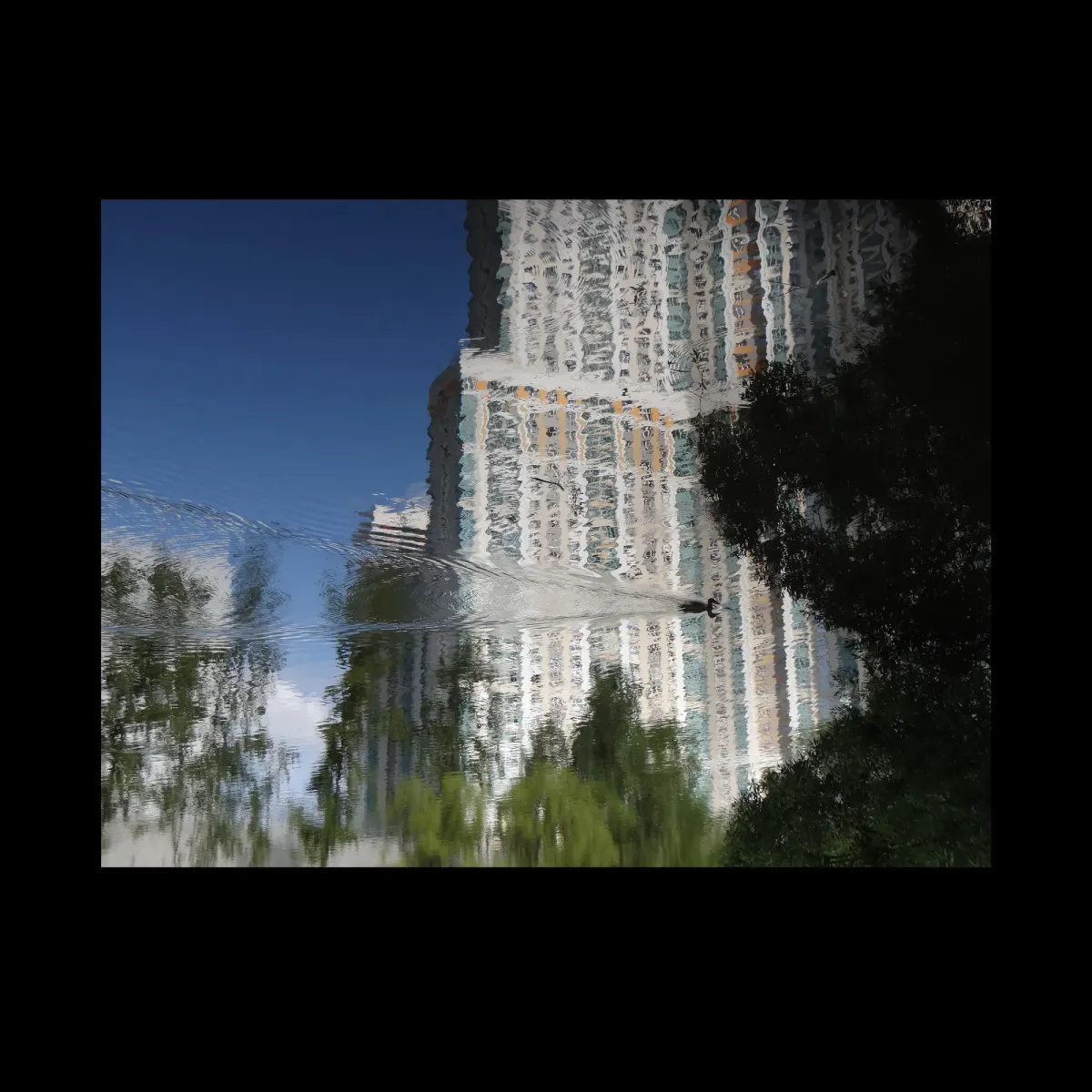 1, frame 22