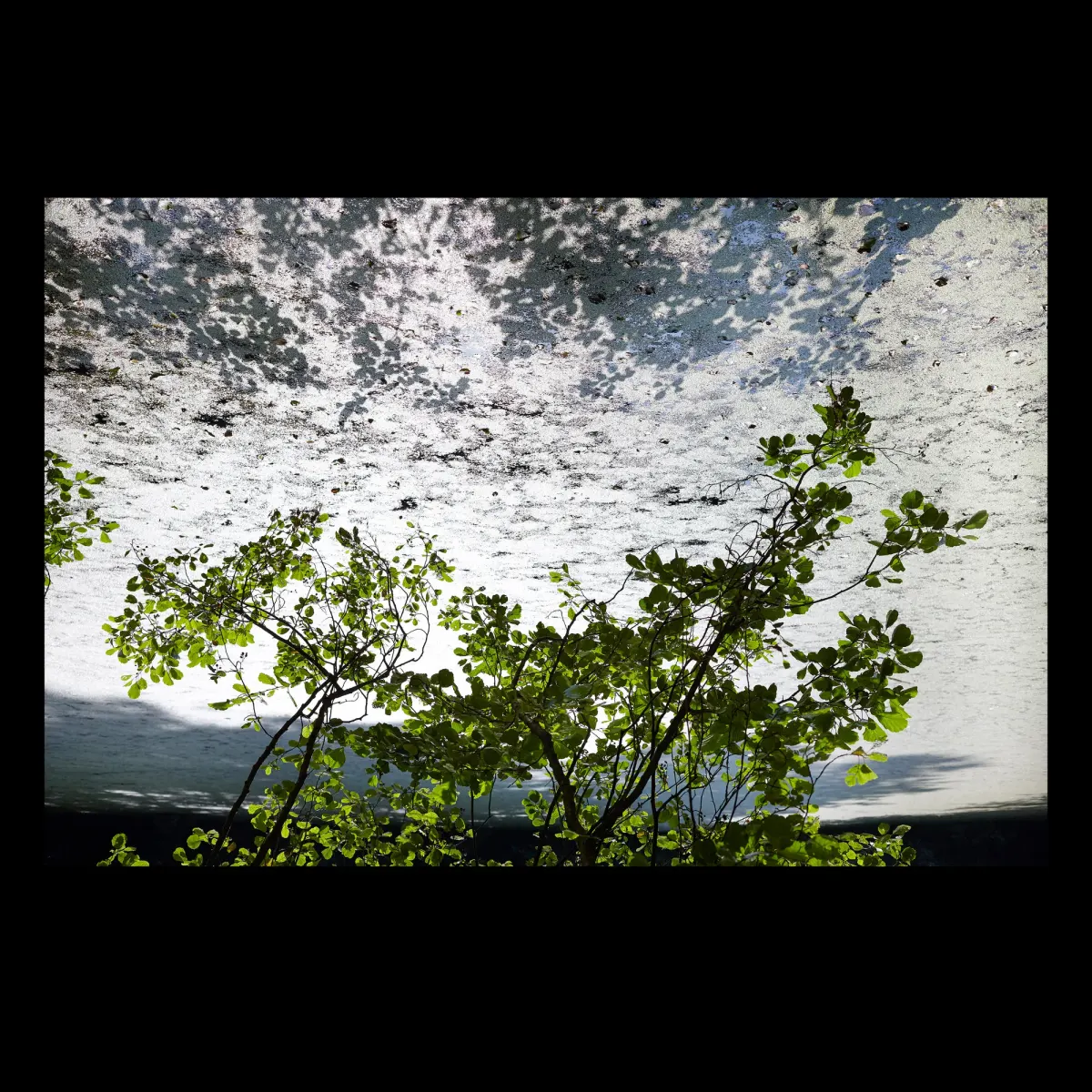 1, frame 23