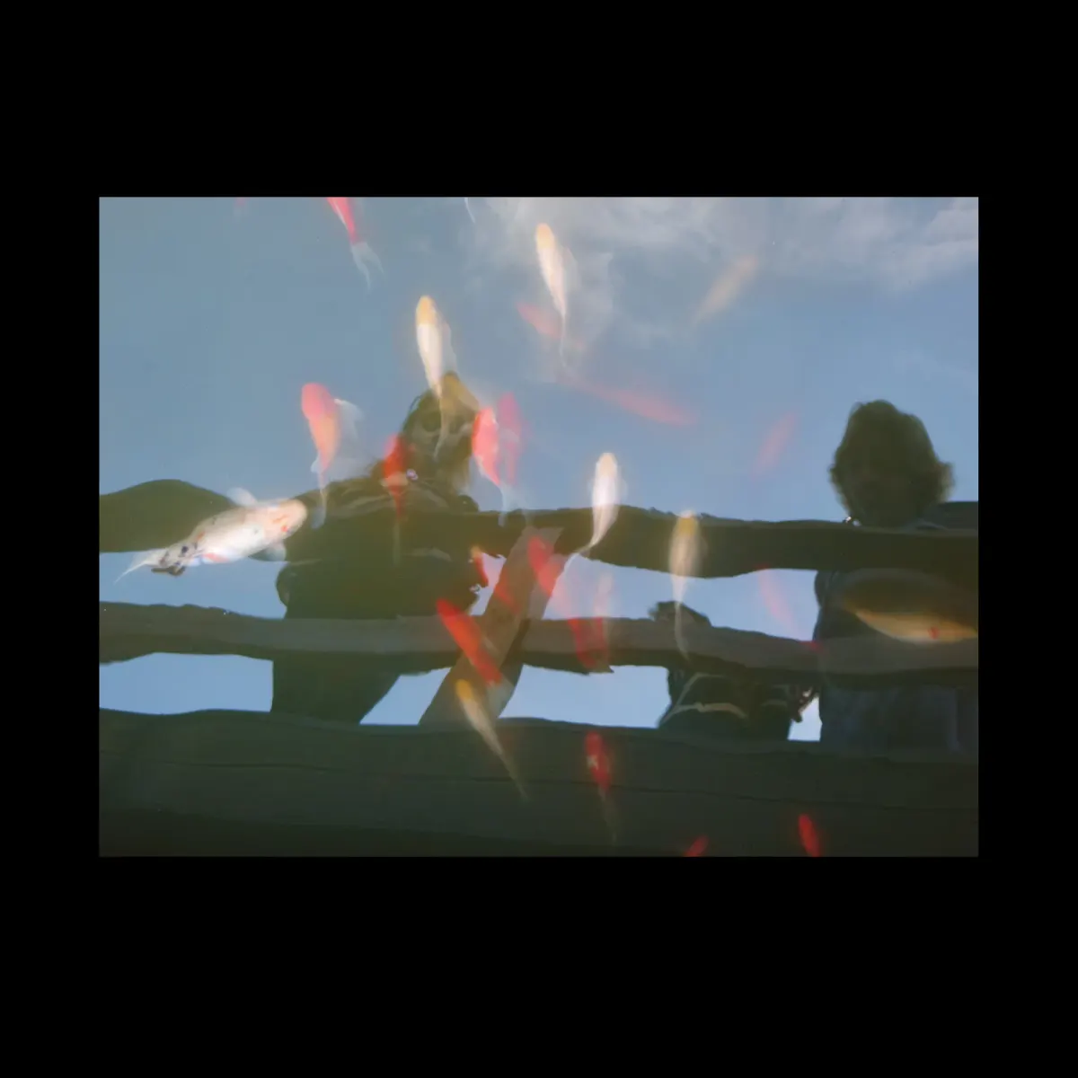 1, frame 25