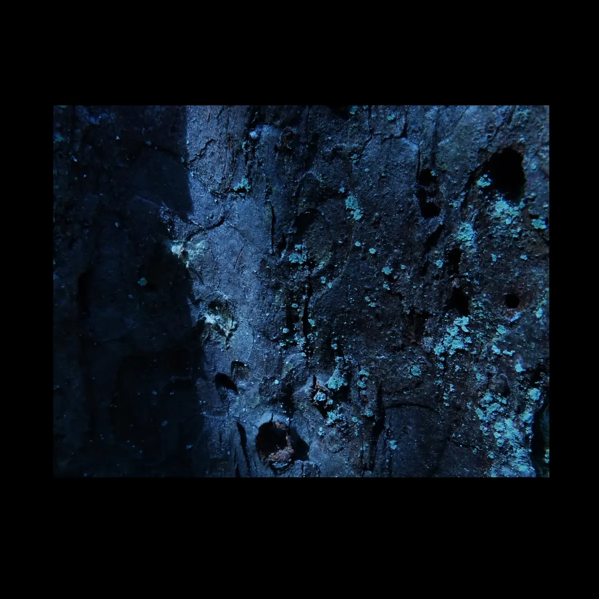 1, frame 27