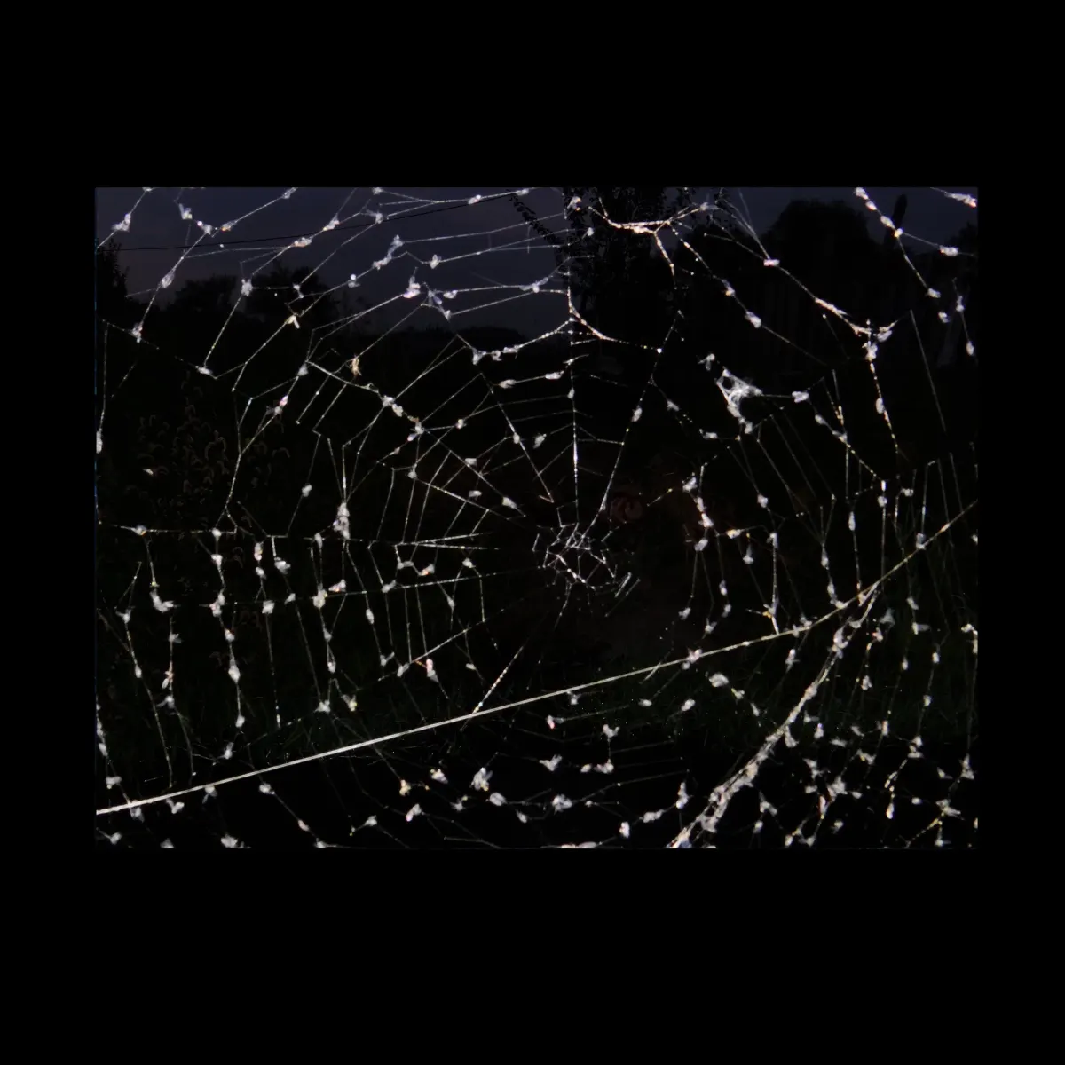 1, frame 28