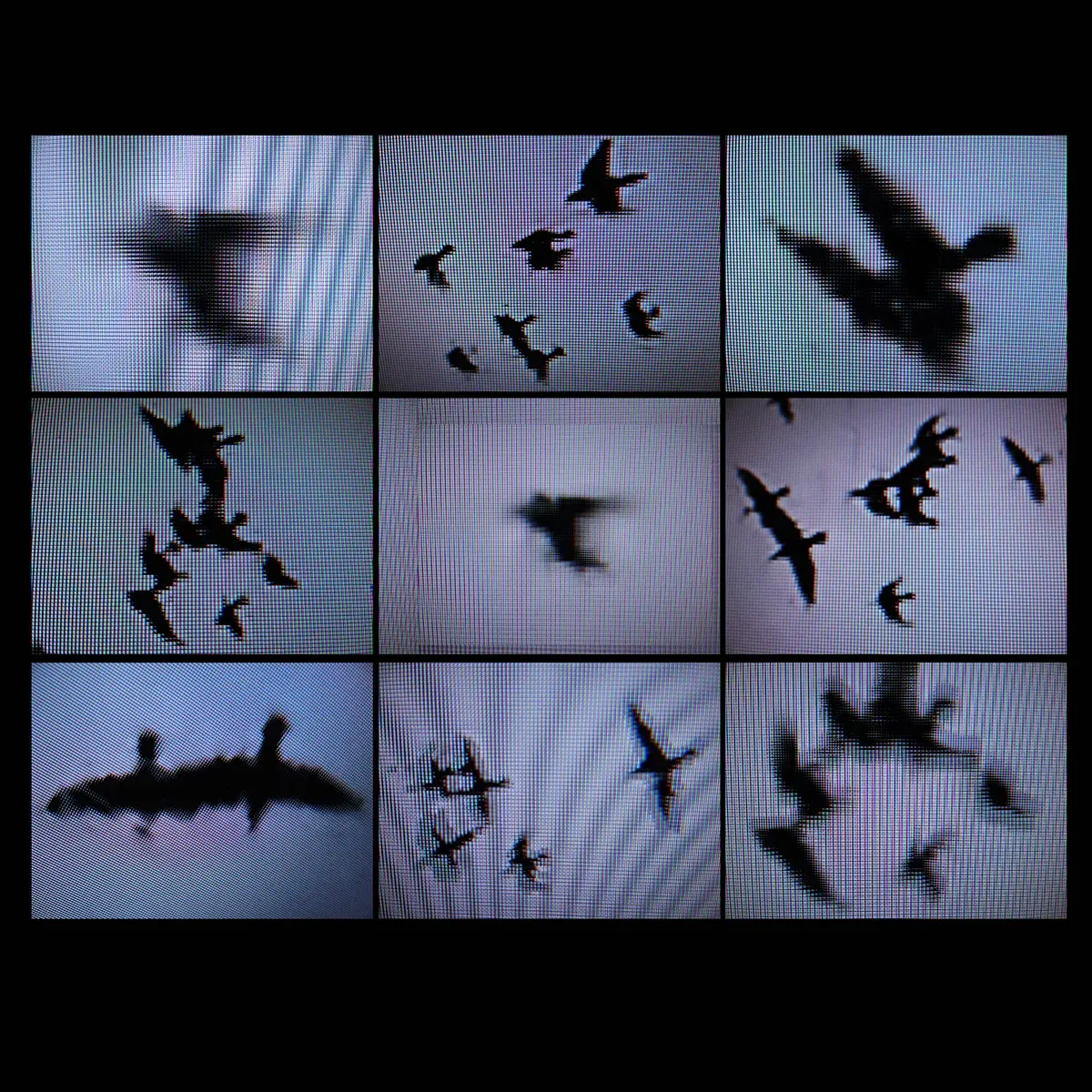 1, frame 30
