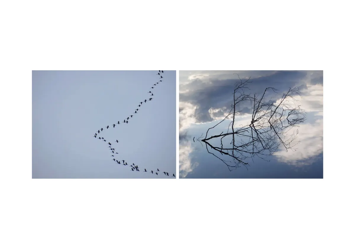 assonance, frame 1