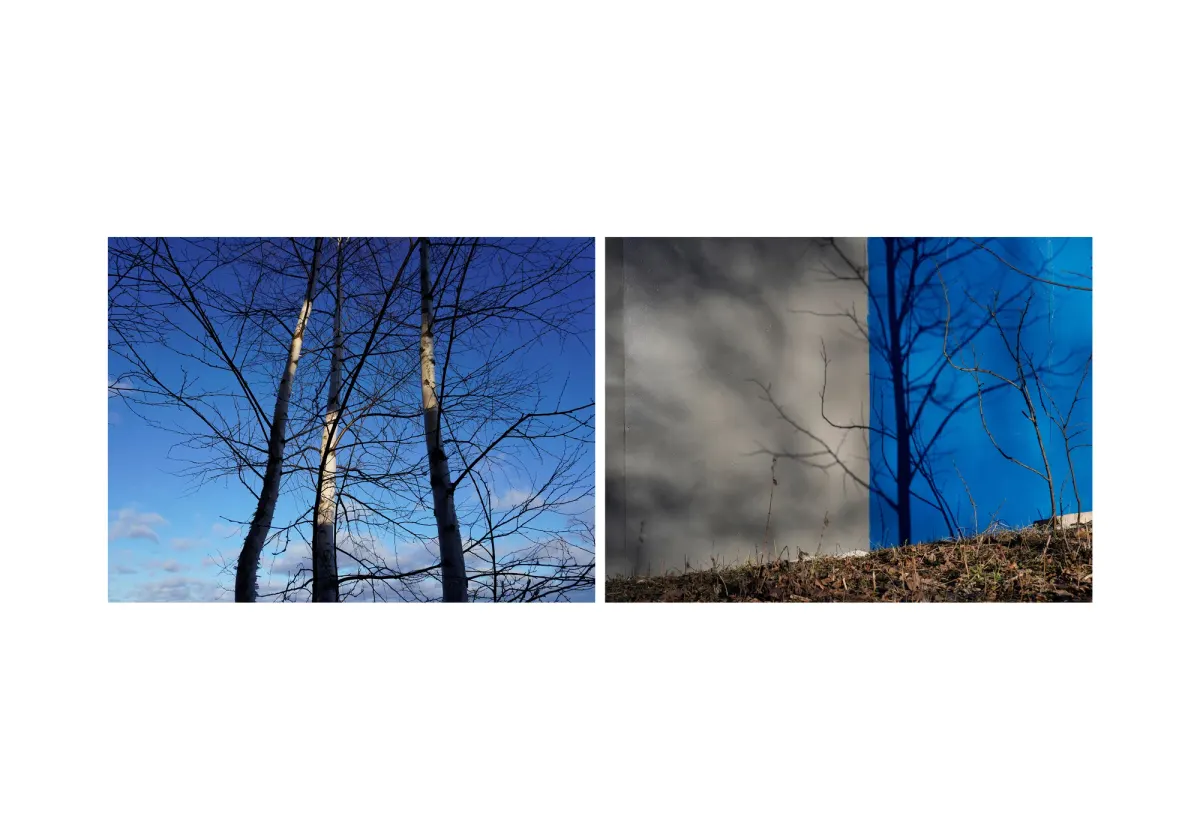 assonance, frame 2