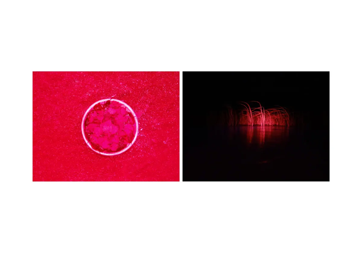 assonance, frame 21