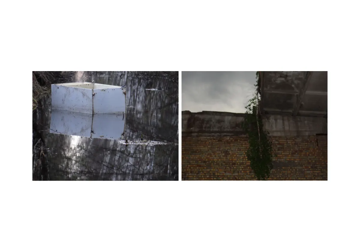assonance, frame 23