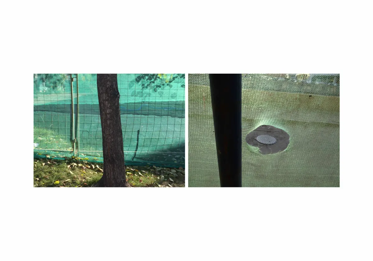 assonance, frame 25