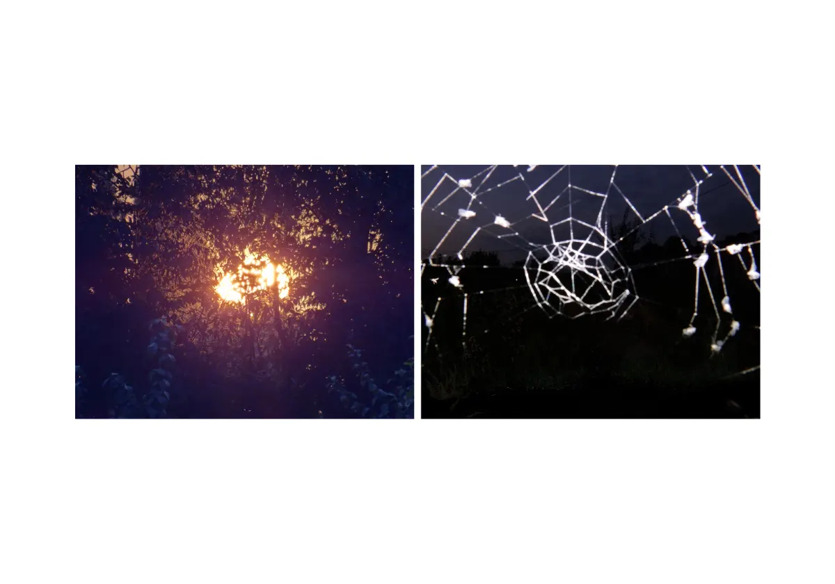 assonance, frame 27