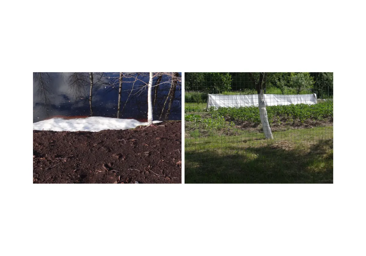 assonance, frame 28