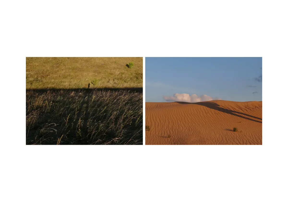 assonance, frame 29