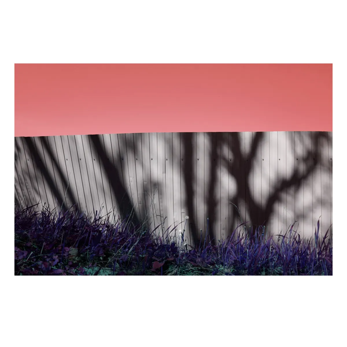 OUT OF MIND, frame 22