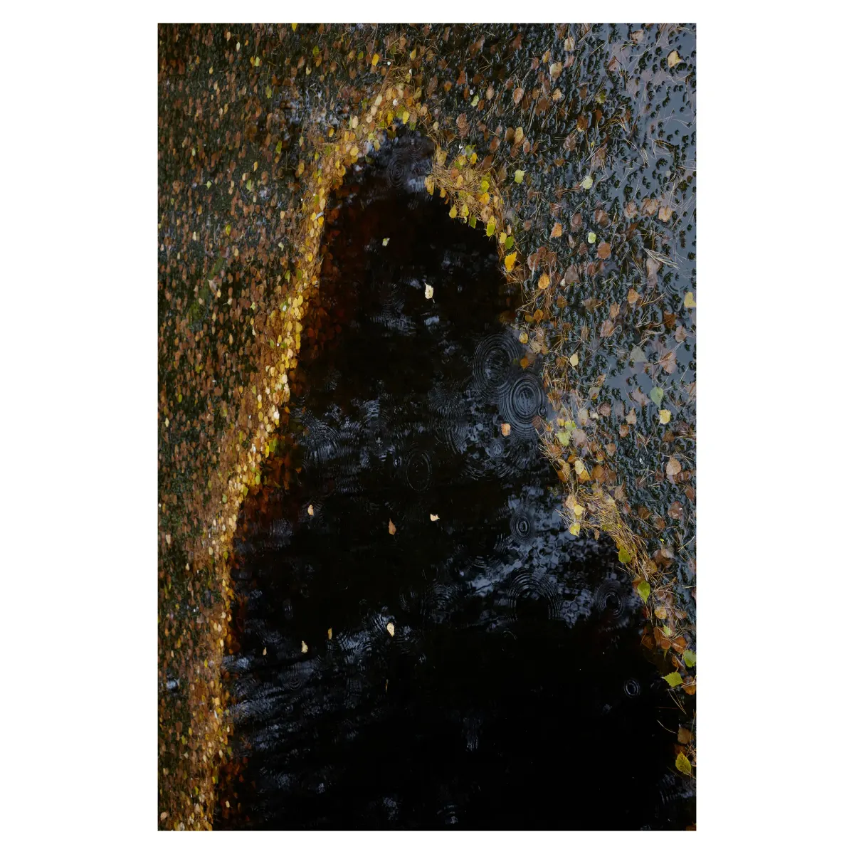 OUT OF MIND, frame 28