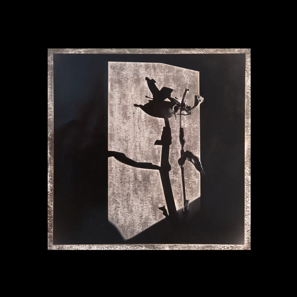 EMPEDOCLES’ ARCHETYPE, кадр 11