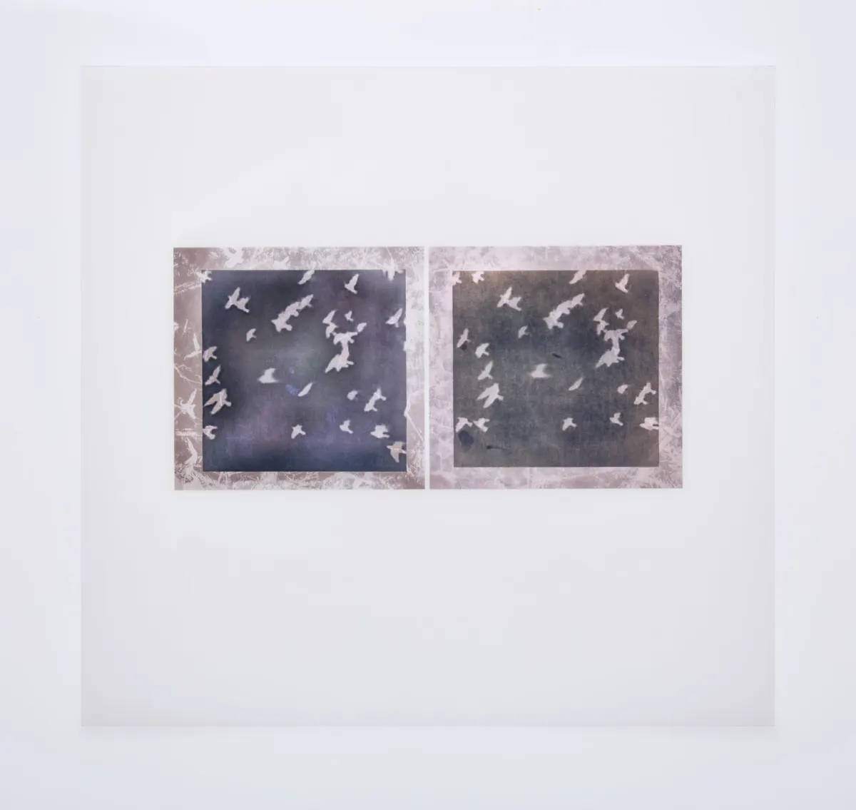 Hologram of Memory, frame 14