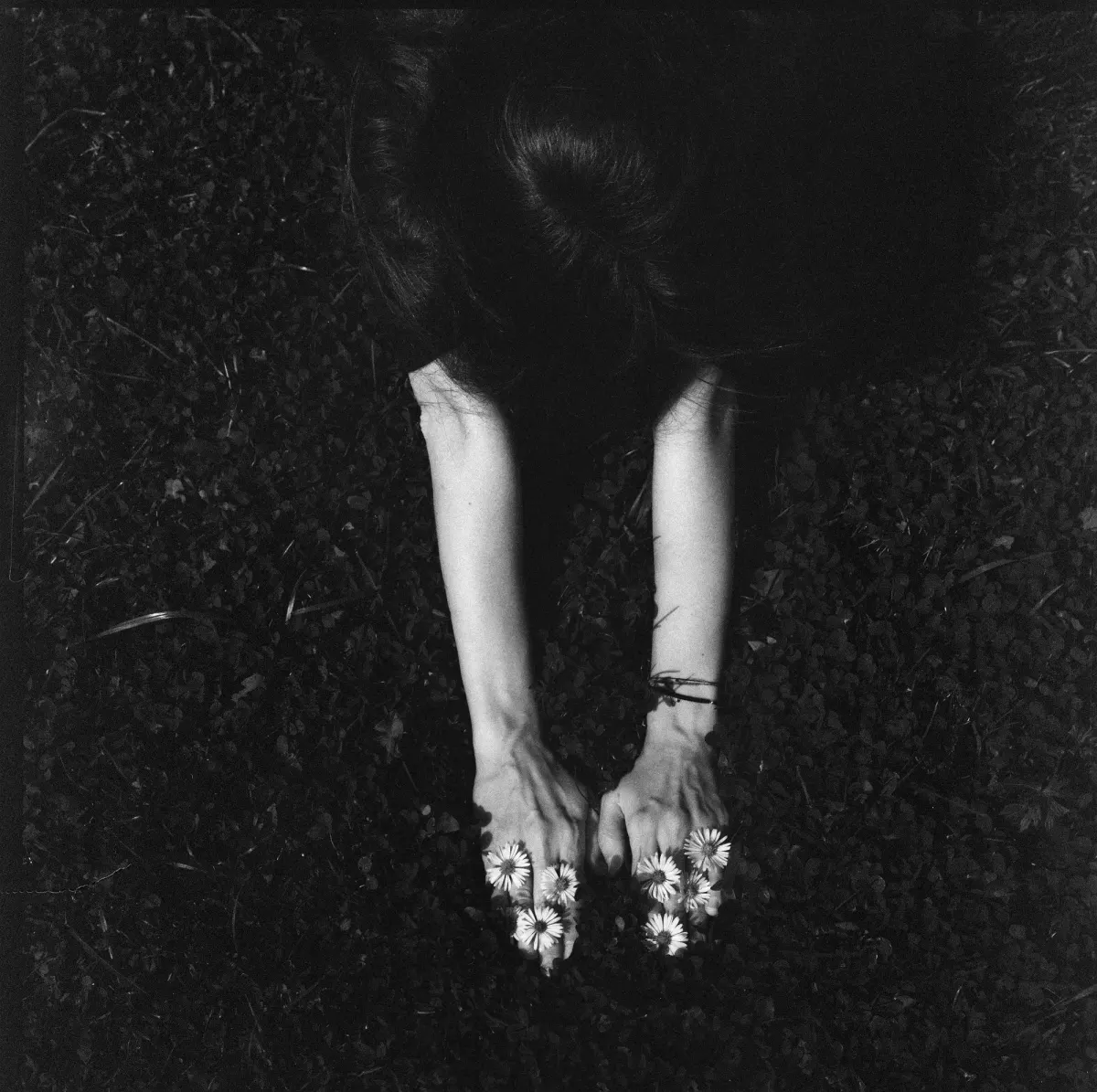 Marina, frame 5