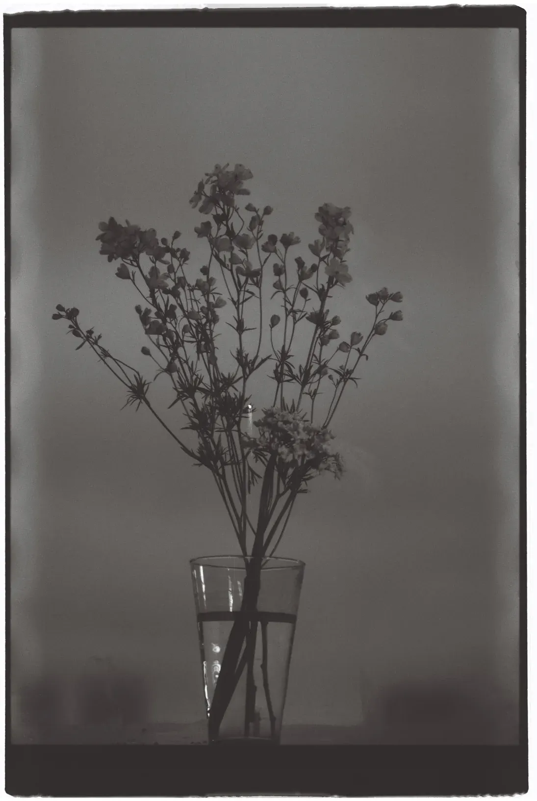 Nastya, frame 10