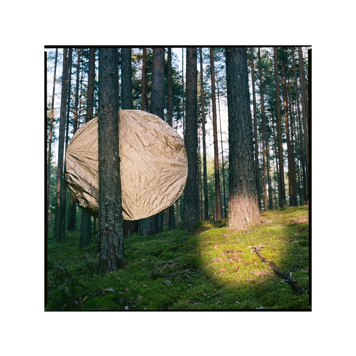 Заря, кадр 12