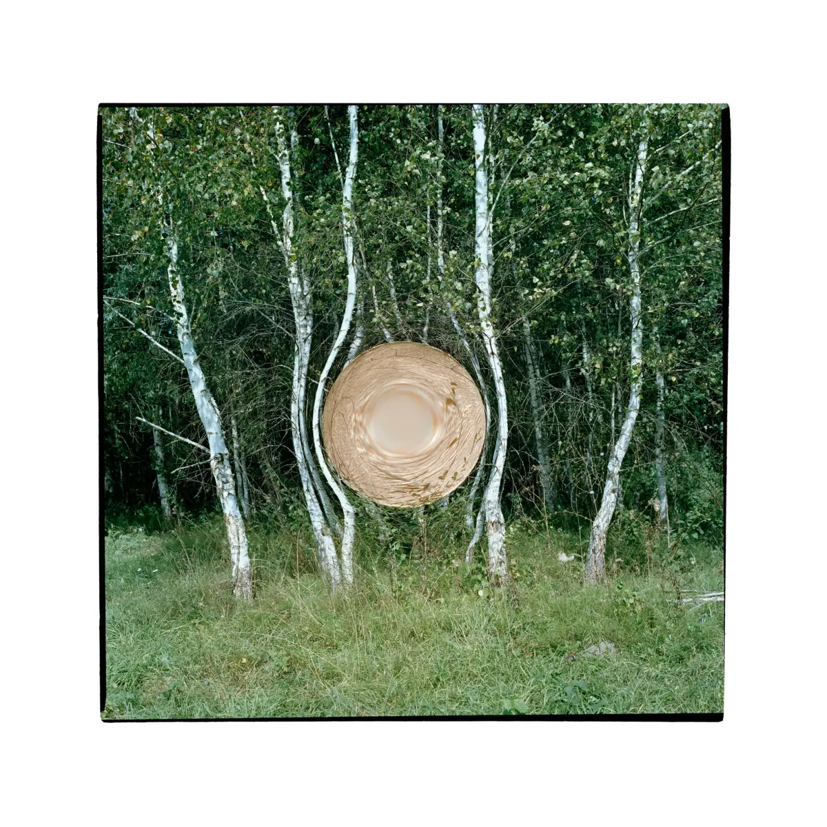 Заря, кадр 14